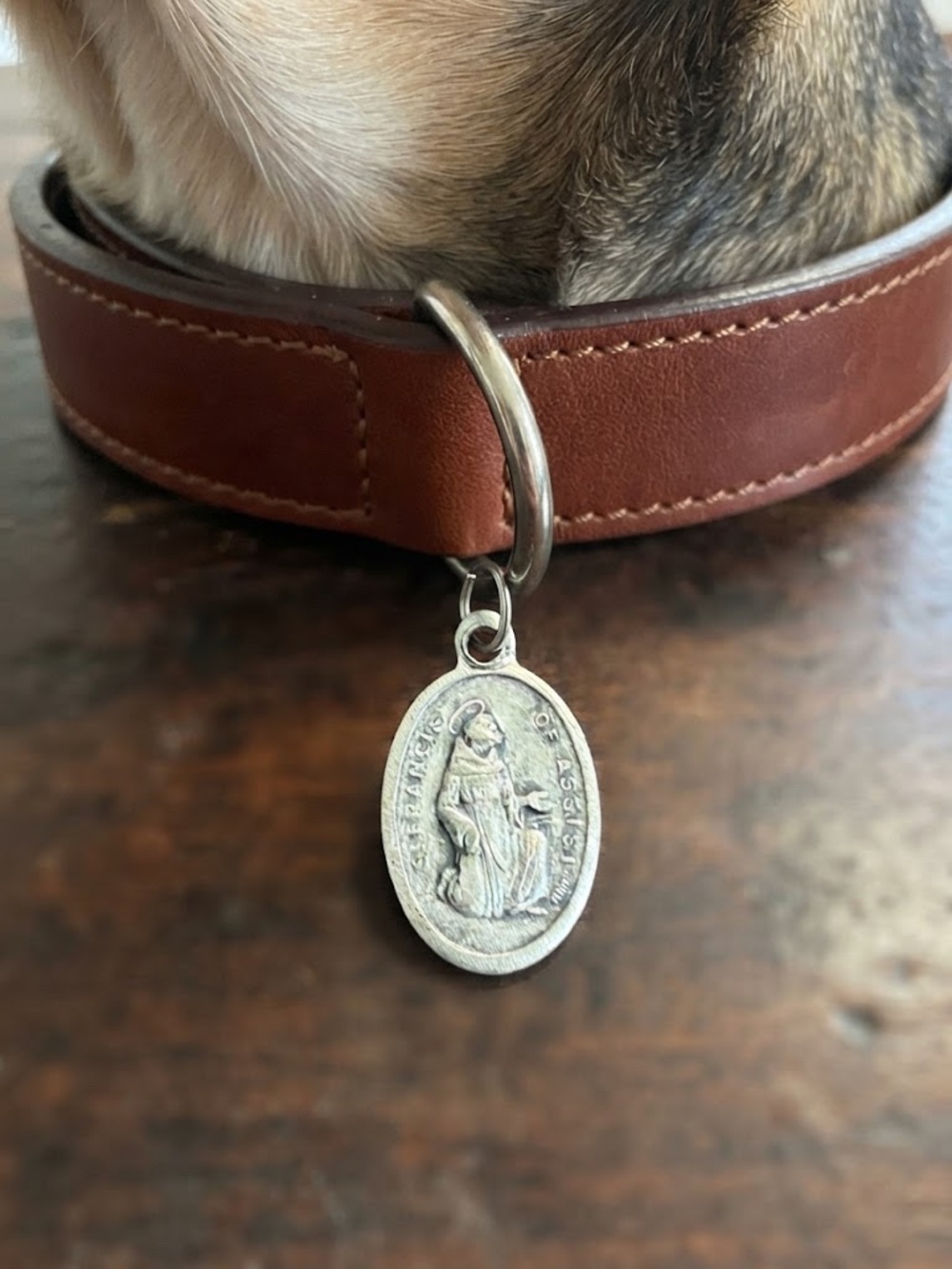Sterling-Style Saint Francis Charm/Medal in Antique Silver Tone